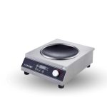 Portable Induction Cooker_